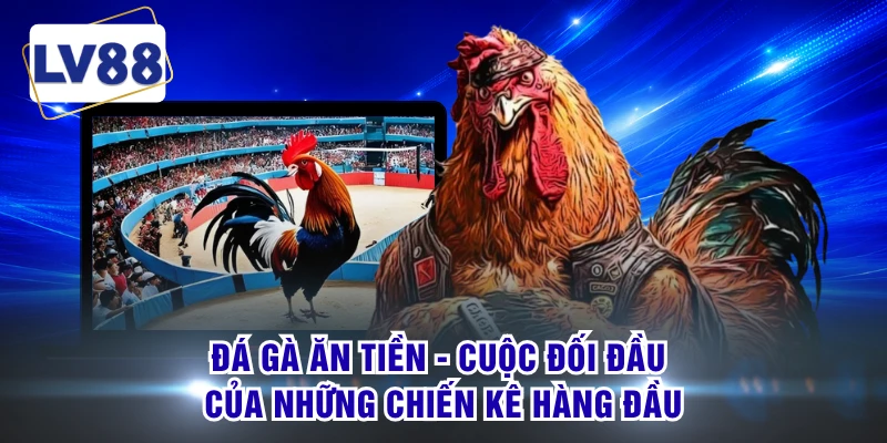 Đá Gà Ăn Tiền - Cuộc Đối Đầu Của Những Chiến Kê Hàng Đầu