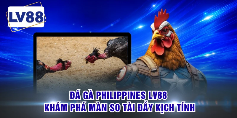 Đá Gà Philippines LV88 Khám Phá Màn So Tài Đầy Kịch Tính