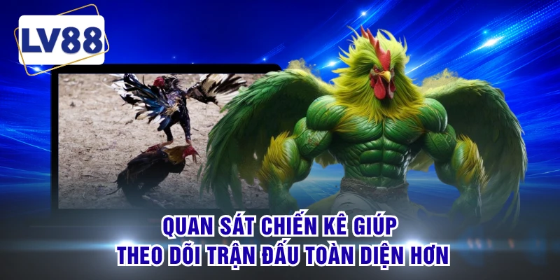 Quan sát chiến kê giúp theo dõi trận đấu toàn diện hơn